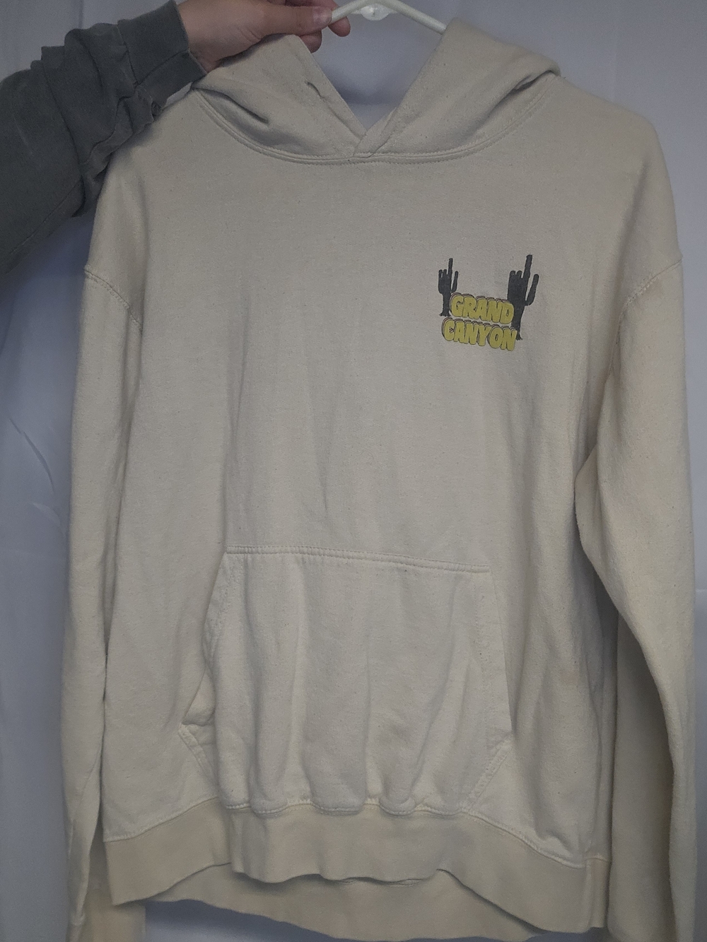 Grand Canyon Desert Cactus Hoodie - Cream